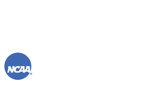 2010 NCAA Men's Frozen Four logo